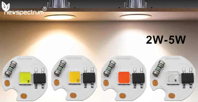 High Brightness SMD LED Chip Raw Material 5W LED COB For Spotlight Downlight