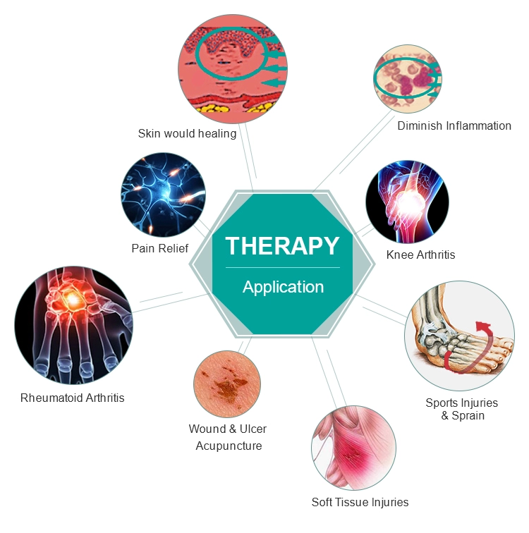 Clinic Physical Therapy Handheld Laser Device 808nm 650nm Cold Laser Therapy Machine