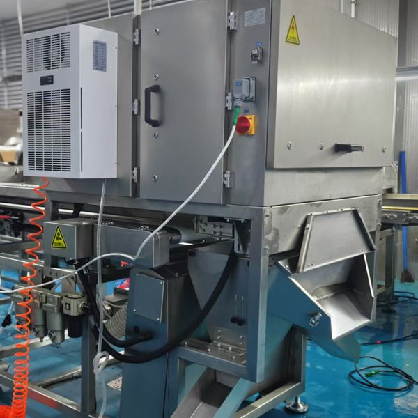 Dried Strawberry Sorter With Image Recognition Quick Response, Precise Sorting, And Improved Production Efficiency