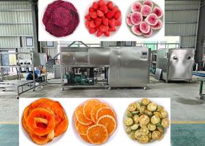 China Vacuum 10Pa Freeze Dryer Lyophilizer Machine With PLC Control wholesale