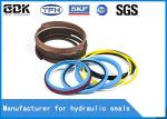 Customized Nitrile Rubber Hyd Cylinder Seals , Seal Cylinder Hydraulic Hitachi