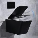 8cm Residential Compact Wall Hung Toilet Black Flush For 2x4 Wall Square Hotel