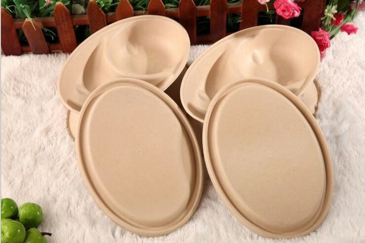 950ml 2 compartments Biodegradable Straw pulp food containers for fruit salad pasta trays