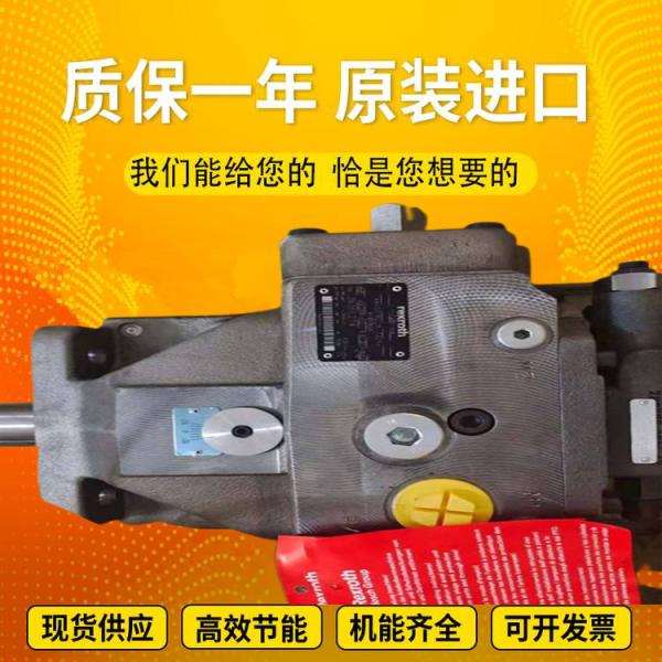 A4VSO125DFR/22L-VZB25N00 A4VSO250DFR/30L-PPB13N00 Injectionmoldingmachineplunger