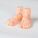20CM Chinese Medicine Foot Massage Model PVC Material 13/17/19cm