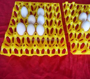 China eggs colorful yellow plastic blister thermoforming vacuum plates wholesale