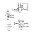 Stainless Steel Five Valve Instrument Manifold