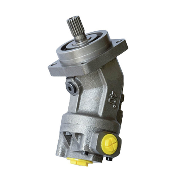 ODM Poclain Hydraulic Motor Rexroth A2FO 10/6.1R-VAB060 Hydraulic Pump