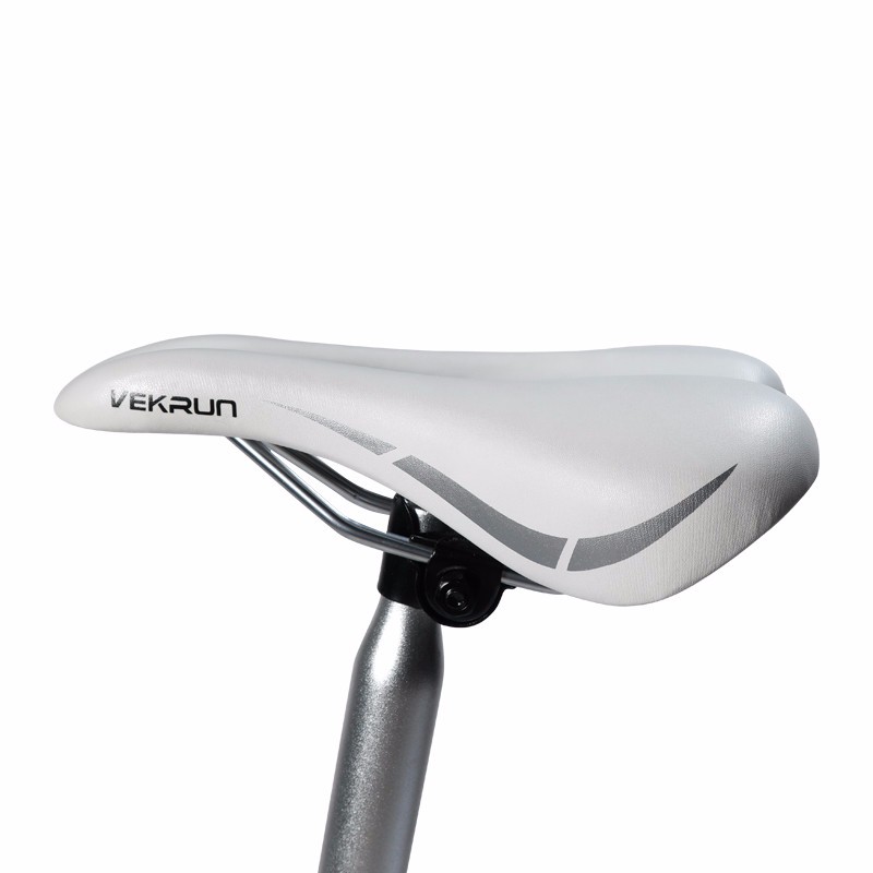 Australian Standard 36V 250W Electric Bike With CE Certificate And Single Derailleur