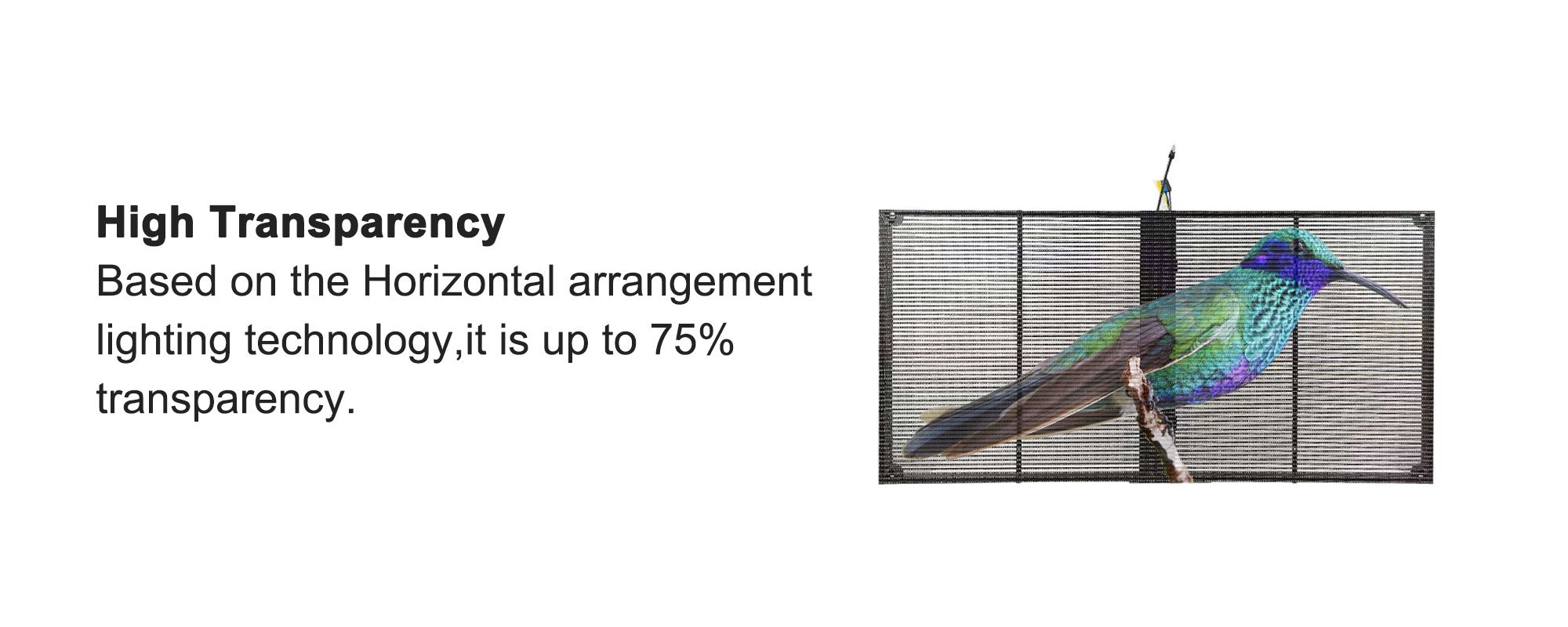 1000*1000mm Full Color Transparent LED Panel , Indoor Transparent Glass LED Screen Wall