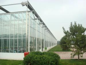 China Exquisite Aluminum Frame Glass Greenhouse Gutter Height 3.0m-6.0m Easy Assemble wholesale