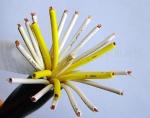 PVC Insulation Flexible Round Control Cable KVV 450/750V in black color