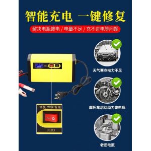 12 24V Intelligent Car Battery Charger