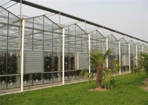 China Agricultural Modular Greenhouse Strong Coating Toughness Design Shouguan wholesale