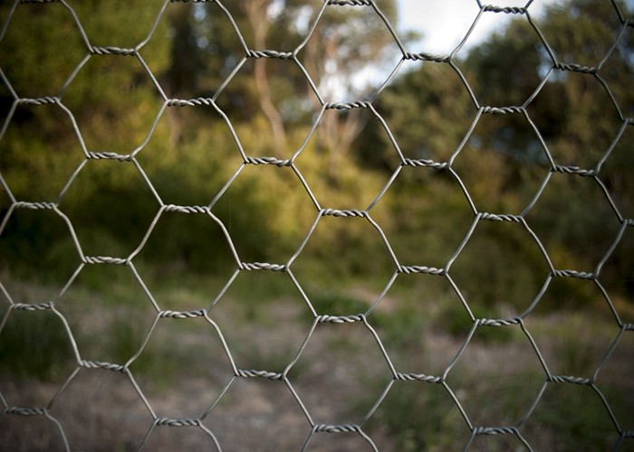 Double Twisted Hexagonal Wire Mesh 0.5-5.0mm Galvanised Chicken Wire Mesh