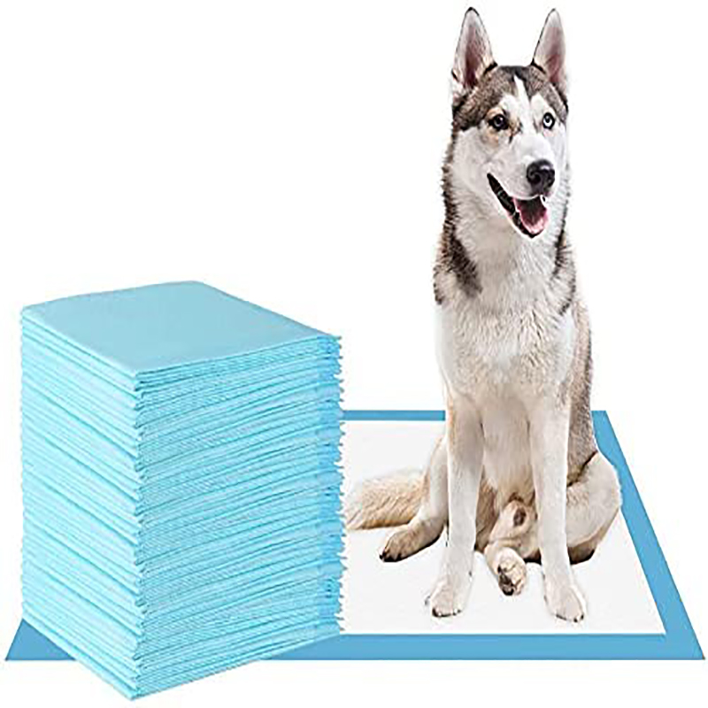Extra Large Dog Pee Pads for Pet Training 600X600mm Absorbent Capacity 100-2000ml
