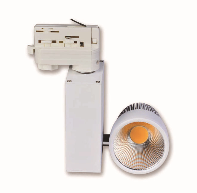 Professional Manufacturer Epistar chips 2*10W COB LED Tracklight