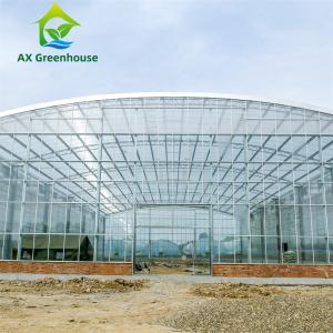 China Waterproof Multispan Agricultural Glass Greenhouse Large Venlo Shading Greenhouse wholesale