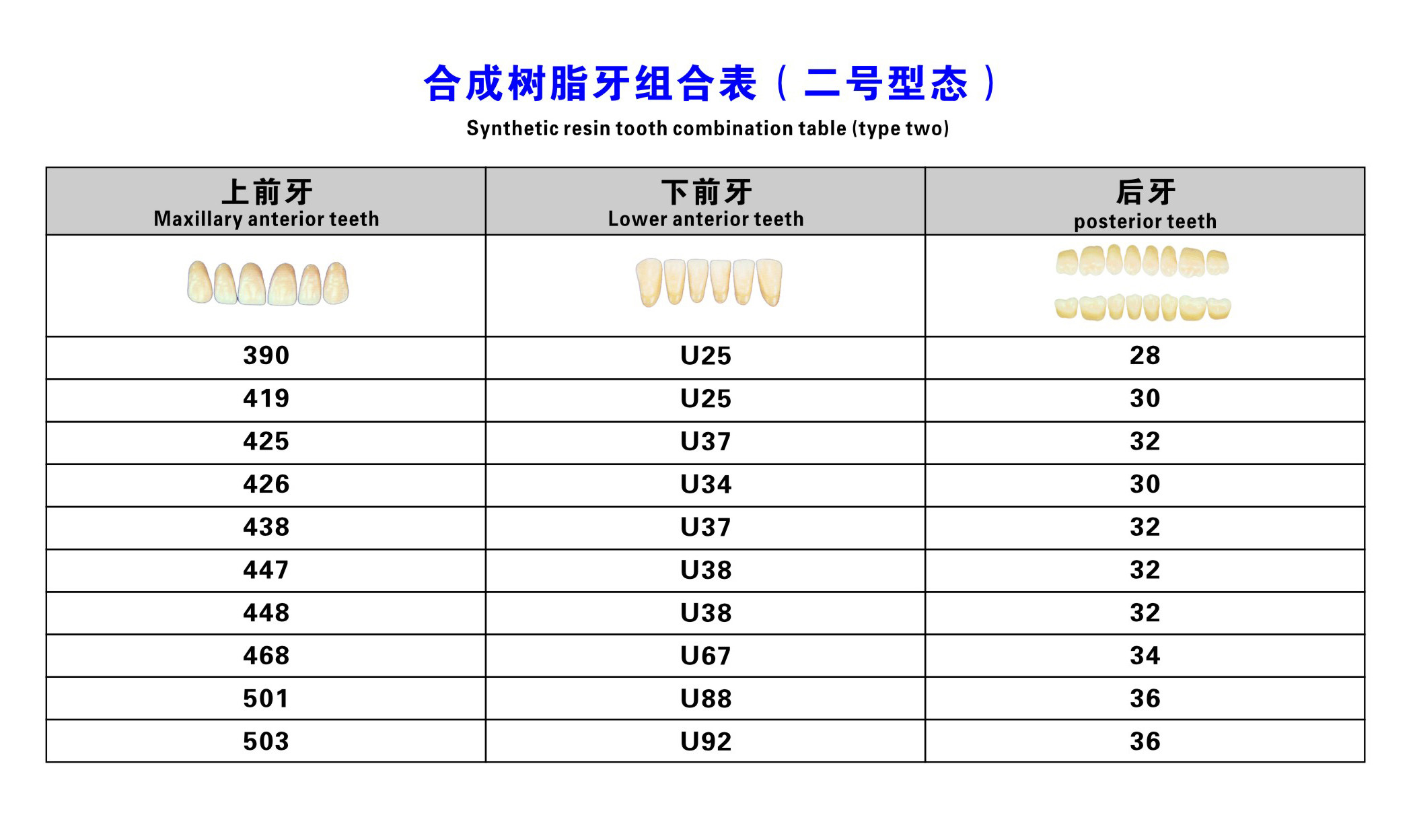Acrylic Resin Denture Teeth Set Repair Surfaces 2 Layers Super Hard Synthetic Dental Teeth