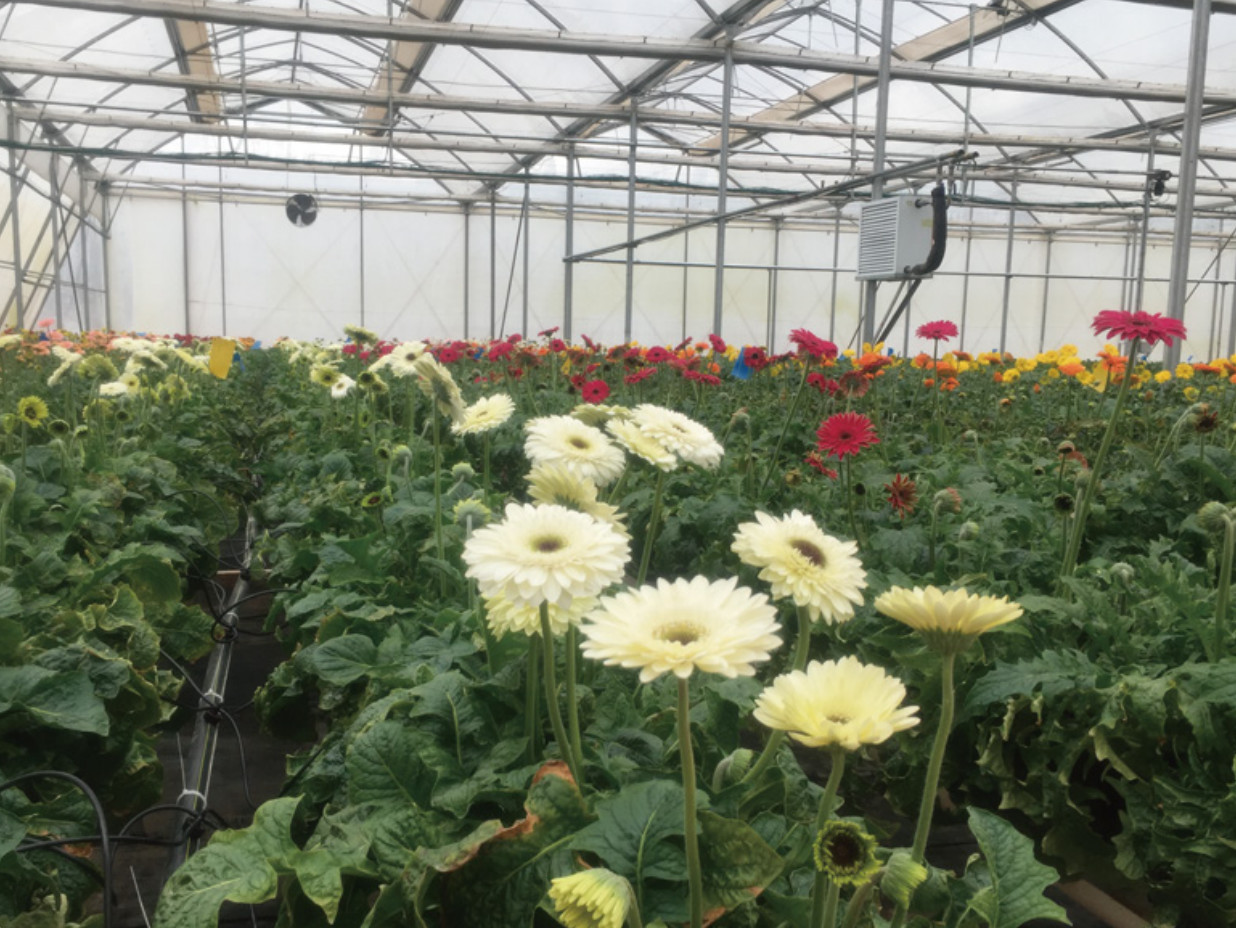 Drip Irrigation Fertilizer Applicator Machine Water And Fertilizer Integrated Machine