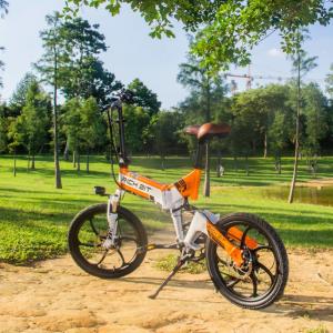 China Full Suspention MTB Electric City Bike 48v 250w Lithium Battery Rich Bit 730 wholesale