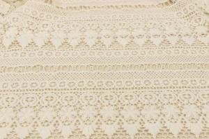 China HD Stitches Allover Lace Fabric Embroidery Botanical For Multiapplication wholesale