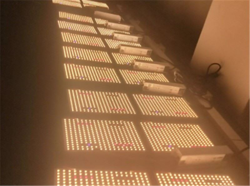 1 Layer SMD LED Board Grow Lights With PCBA Assemblies