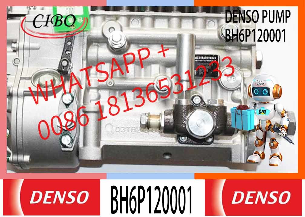 New Diesel Fuel Injector pump 612600081228 612600081228 BHT6P120R TRQV-K300-1100P for WEICHAI618.42Q 6P1191 BH6P120015