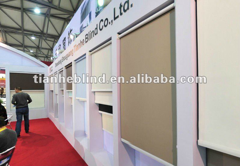 manual and electric fabric roll up blinds