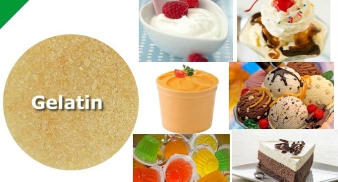 Aerated Desserts Gelatin Powder Beef 180 Bloom -240 Bloom Halal Gelatin