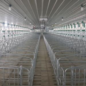 China Automatic Disc Chain / Auger Feed Conveying System Pig Farming Equipment wholesale