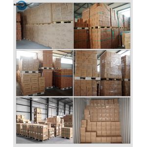 100% Compostable Trash Bags Eco Friendly Biodegradable Garbage Bags