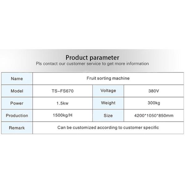 Processing Production Inspecting Grading Fruit Vegetable Onions Saiko persimmon Apple Potato tangerine passion fruit avocado cherry Mango pear banana