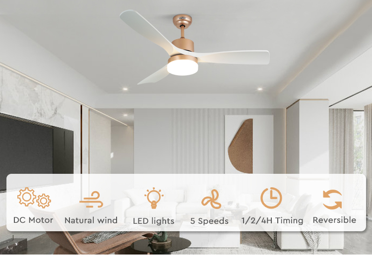 ceiling fan