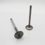 EL100 Inlet Diesel Engine Valve 137111350B For HINO Excavator