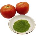CAS 68917-51-1 Nature Micro Elements Seaweed Extract Green Powder