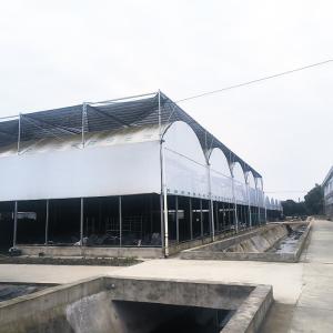 China Customizable Blackout Greenhouse for Light Temperature Humidity Control for Herb wholesale