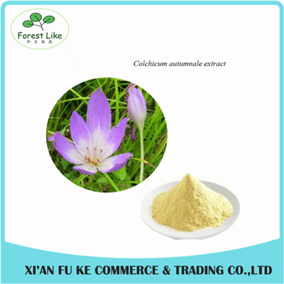 Colchicum Extract Colchicine 98% CAS NO:64- 86 - 8