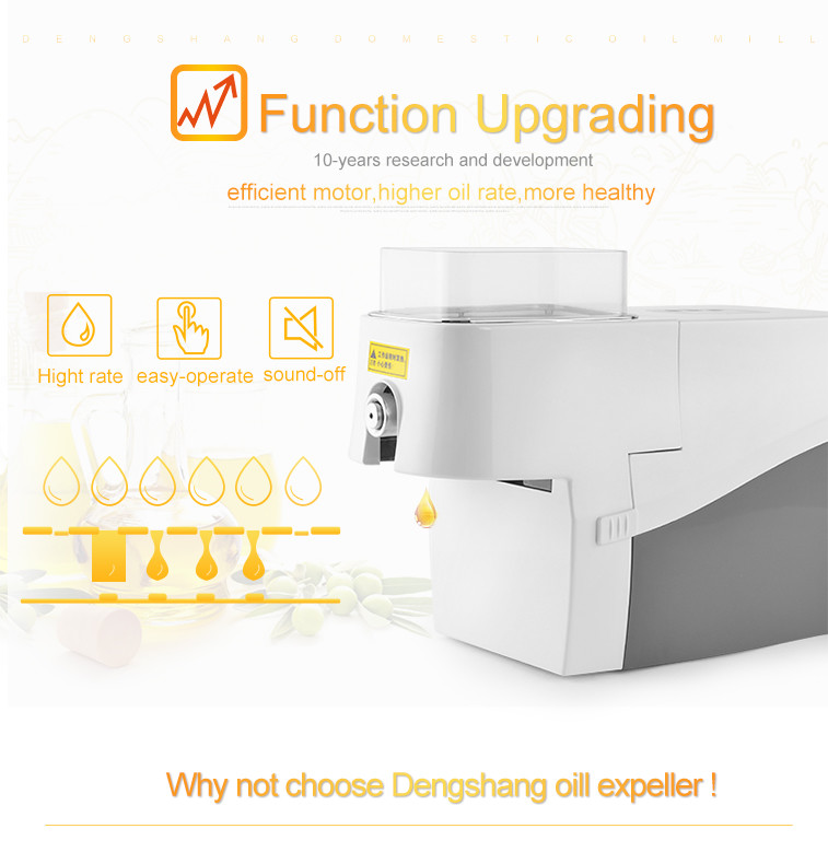 Popular selling cold press oil machine and mini oil press machine in China supplier