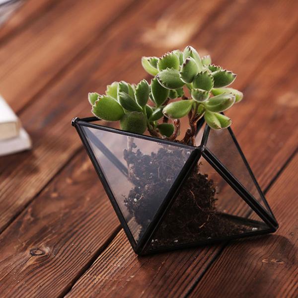 Mini Metal Tabletop Geometric Air Plant Holder , Himmeli Decor Glass Air Plant Holder