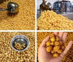 Stainless Steel 304 Caramel Industrial Popcorn Making Machine