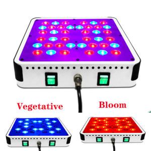 China 20% Big Discount for Growing Lights 2014 Summer Newest Apollo4S 140W AC110-240V 5W High wholesale