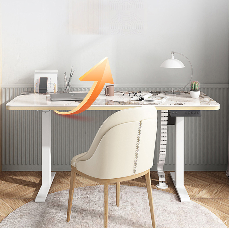 2023 Design Dual Motor Table Laptop Desk for Adult Electric Sit Standing Study Table