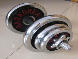 China 30 Years China Gym Dumbbell Manufacturer wholesale
