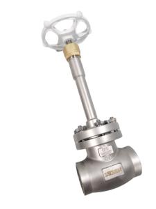 China PN40 SS304 SS316 Cryogenic Socket Weld Globe Valve Liquid Nitrogen wholesale