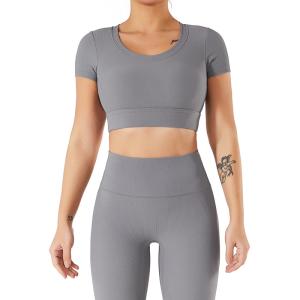 China Oem Factory Manufacturer Custom Logo Crop Top Fast Dry Midriff Baring Shirts wholesale