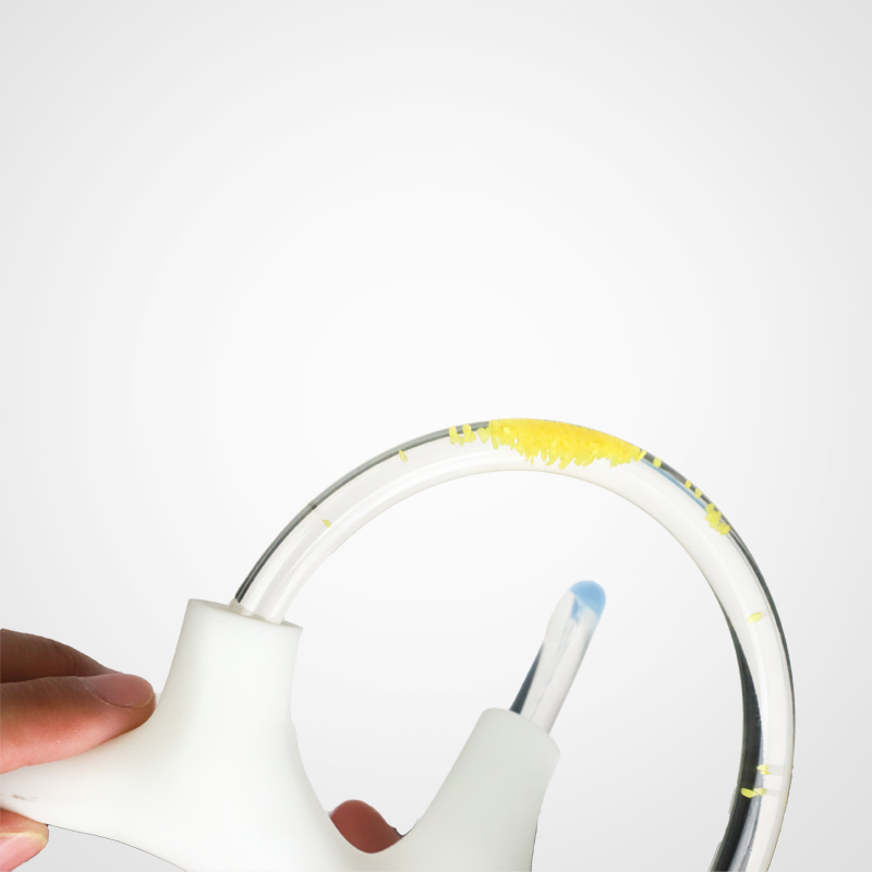 Balance Cochlea Inner Ear Cranial Nerve Rehabilitation Anatomical Function Didactic Demonstration Semicircular Canal
