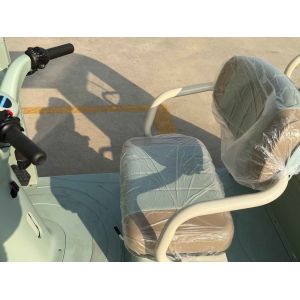 Qingting 1000WD Electric passenger tricycle without doors