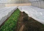 ISO14000 High Tension Agriculture Non Woven Fabric Anti Mildew 300g/M2