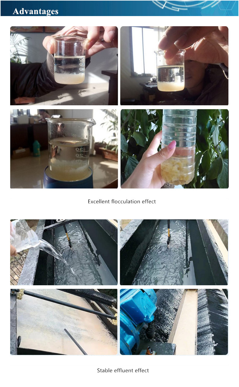 1000L/Hour Air Flotation Type Wastewater Purification System for Oil Grease Treatment